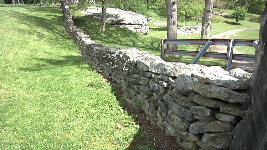 As weather warms up, be on the lookout for garter snakes waking up from hibernation underneath stone walls on your property