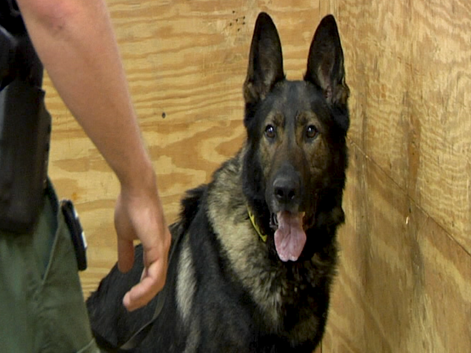 West Virginia Police Canine Association Offers K 9 Certification