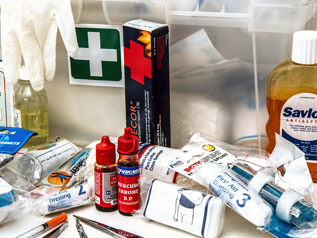 WILD Training Institute hosting Wilderness First Aid course on June 1-2 ...
