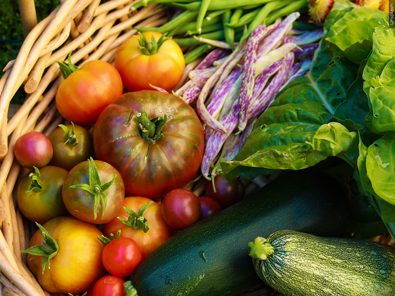 New Roots Community Farm and West Virginia State University hosting free Summer and Winter Vegetable Workshop on July 16